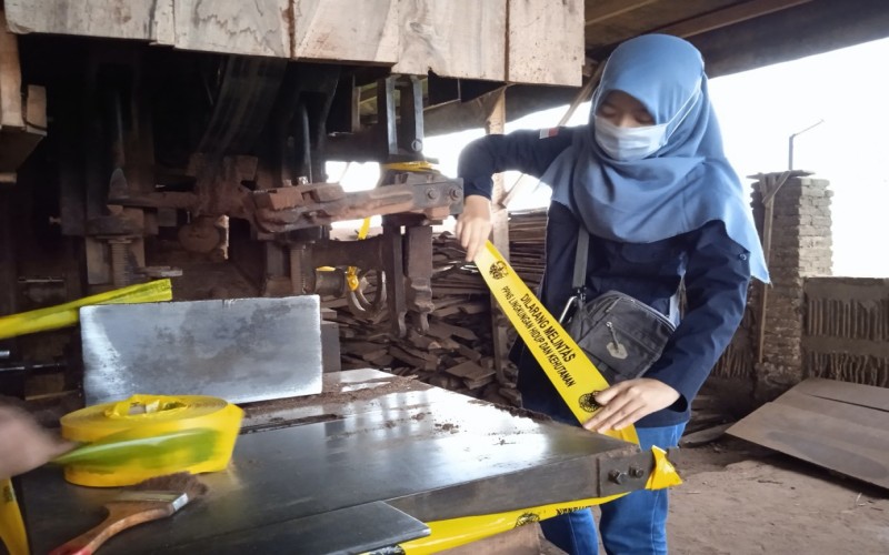  KLHK Segel Pabrik Kayu Sonokeling Ilegal di Lampung