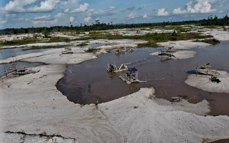  REKLAMASI TAMBANG  : Lahan Bioenergi Dikebut