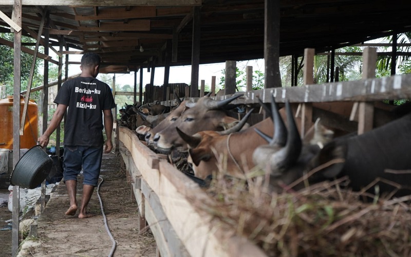  Pertamina dan Universitas Mulawarman Kembangkan Biogas di Desa Tani Bhakti