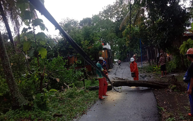  Hujan dan Angin Kencang Terjang DIY, 3 Wilayah Terdampak