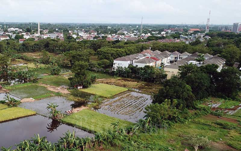  Alih Fungsi Lahan Sawah di Indonesia Mencapai 150.000 Hektare Setiap Tahun