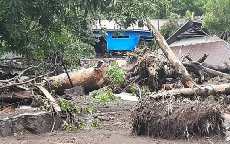 Bencana Nusa Tenggara: Ini Perintah Presiden ke BNPB, Basarnas, TNI dan Polri