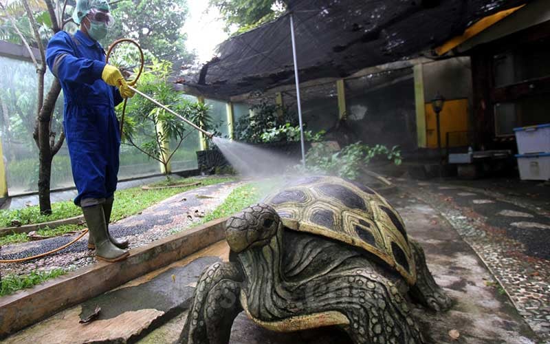  TMII Diambil Alih, Politisi PDIP: Hasilnya Tak Pernah Disetor ke Negara