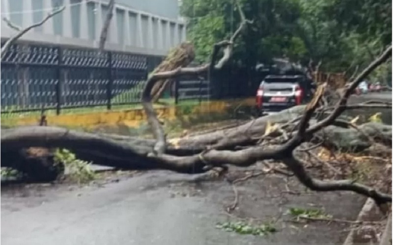  Fenomena Awan Cimulonimbus, Palembang Diterjang Angin Berkecepatan 93 Km/Jam