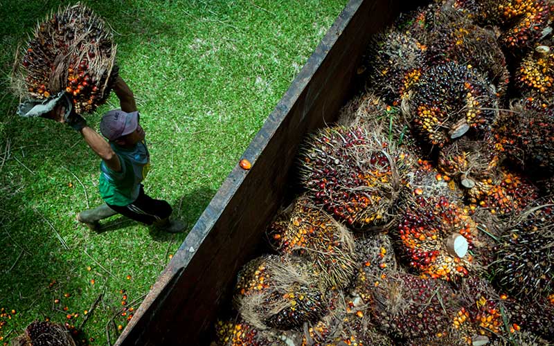  Triputra Agro (TAPG) Incar Produksi dan Penjualan Naik 10 Persen pada 2021