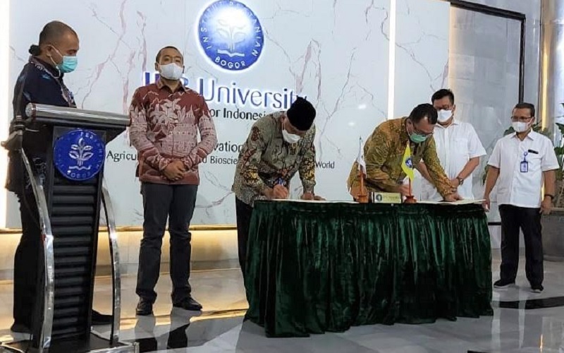  Pemprov Sumbar Gandeng IPB Perkuat Ekonomi Sektor Peternakan