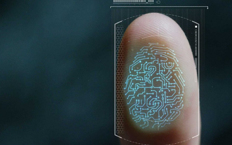 Identitas biometrik universal. /biometricupdate