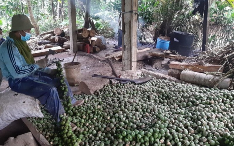  Berkah Ramadan untuk Petani Kolang-kaling di Purwakarta 