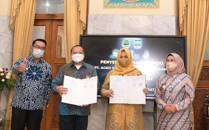  Agro Jabar-Agro Serang Berkah Sepakat Kerja Sama Tanam Jagung