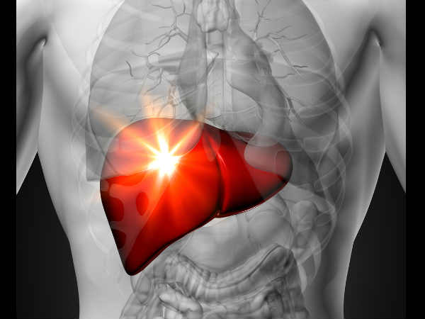 Organ hati (liver). /boldsky