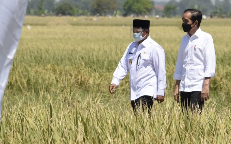  Jokowi Siap Penuhi Permintaan Petani Indramayu