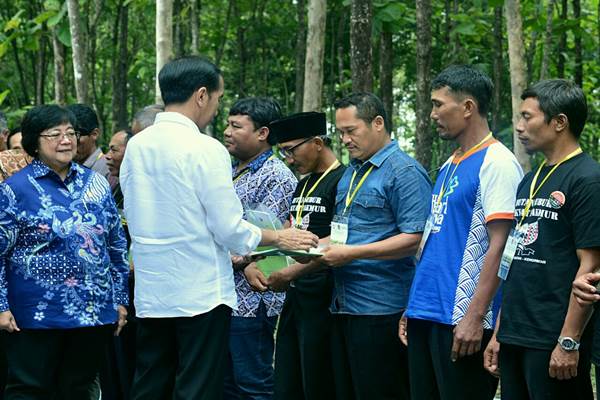  Jokowi Geber Perhutanan Sosial 1,2 Juta Ha di Riau, Dinas LHK: Libatkan Kami!