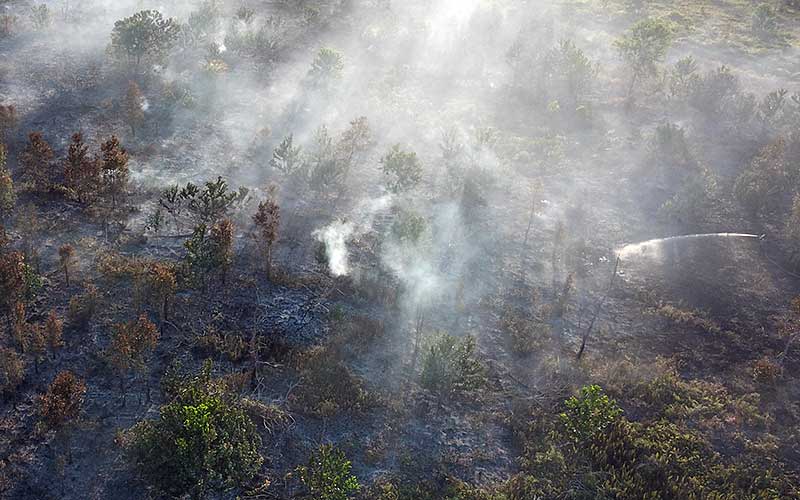  Pemprov Kalteng Siapkan Anggaran Senilai Rp230 Miliar Untuk Antisipasi Kebakaran Hutan dan Lahan