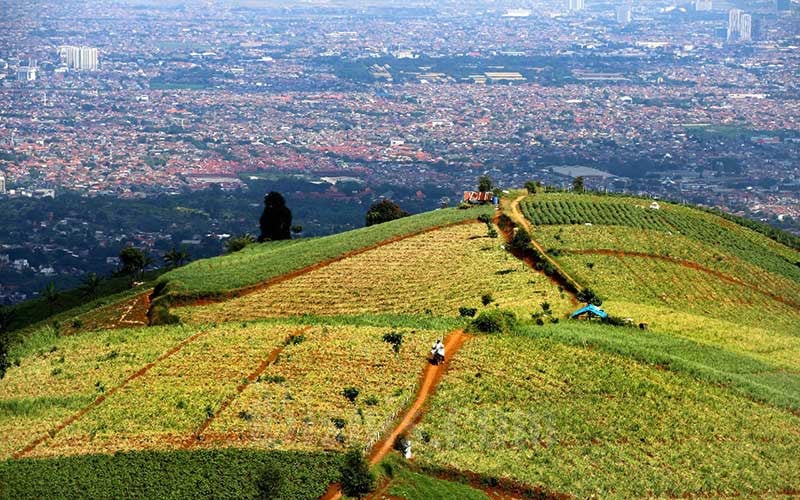  Kesejahteraan Buruh Tani di Indonesia Memprihatinkan