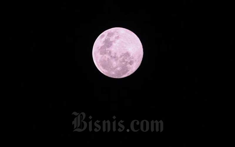  Fenomena Bulan Purnama Pink Supermoon