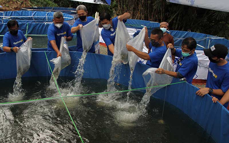  Genjot Wirausaha Baru, Jurnalis Mancing Indonesia Gelar Pelatihan Budidaya Hingga Penjualan Ikan Nila