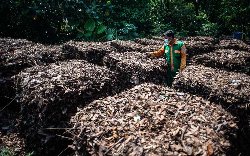  Taman Margasatwa Ragunan Mampu Memproduksi Pupuk Kompos Lebih Dari Satu Ton Dalam Sehari