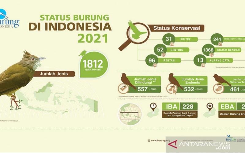  Duh! 179 Jenis Burung di Indonesia Terancam Punah