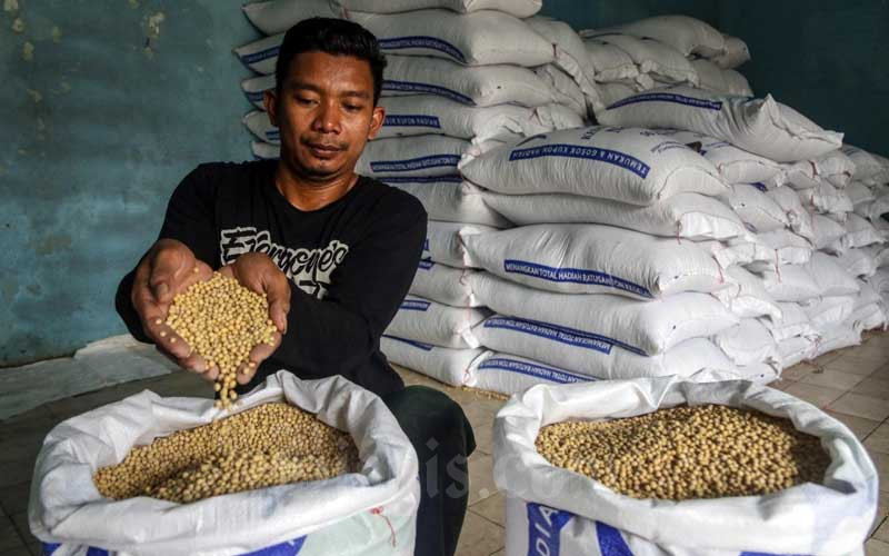  KOMODITAS PERTANIAN   : Harga Kedelai Bersiap Rebound