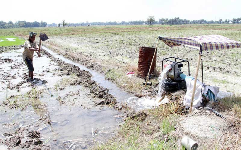  Petani di Sulawesi Selatan Gunakan Mesin Pompa Untuk Mengairi Sawah