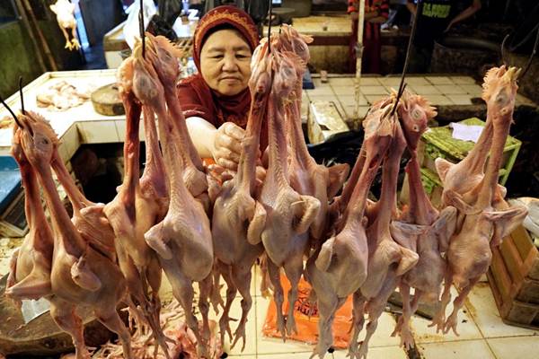  Permintaan Tinggi, Harga Daging Ayam di Lombok Barat Naik 