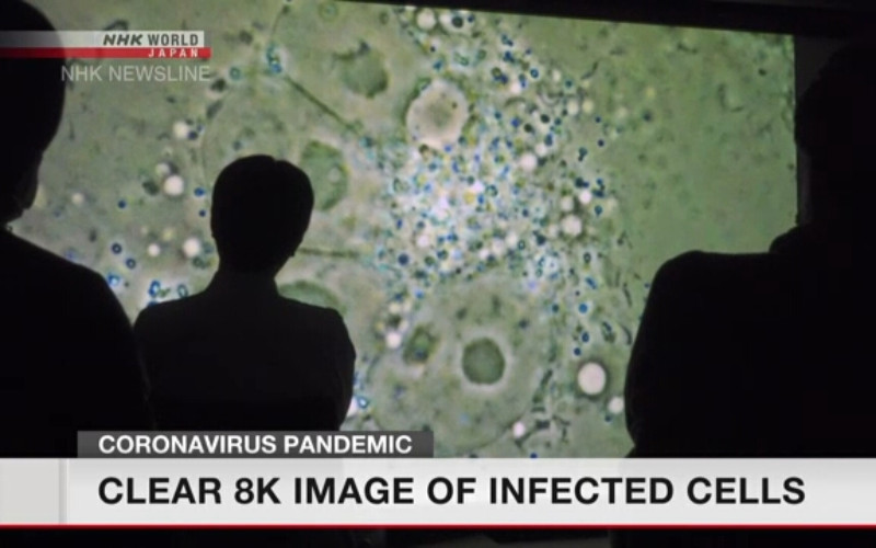  Kamera 8K Berhasil Tunjukkan Kondisi Sel yang Terinfeksi Virus Corona