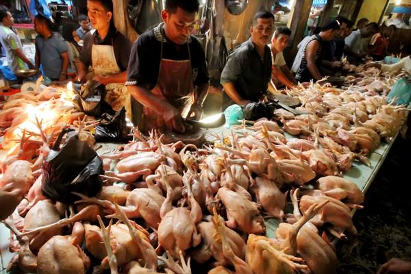  Tren Kenaikan Harga Daging Ayam dan Babi di Bali Dorong Inflasi
