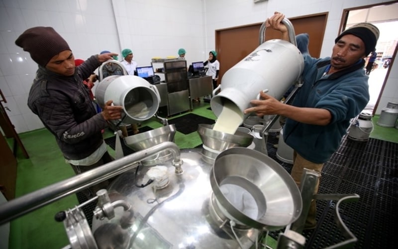 Pengembangan industri pengolahan susu oleh PT Frisian Flag Indonesia./dok. Frisian Flag
