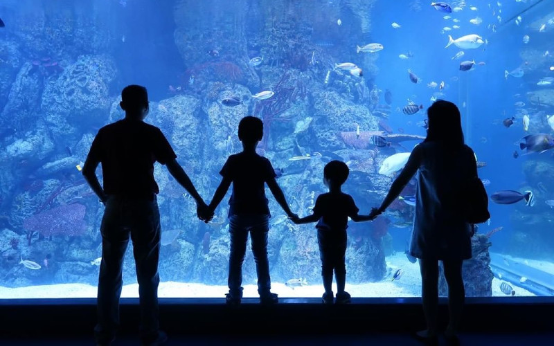 Jakarta Aquarium & Safari Tetap Buka di Libur Lebaran