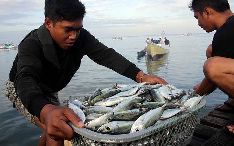  Nelayan di Sulawesi Selatan Mulai Kembali Melaut