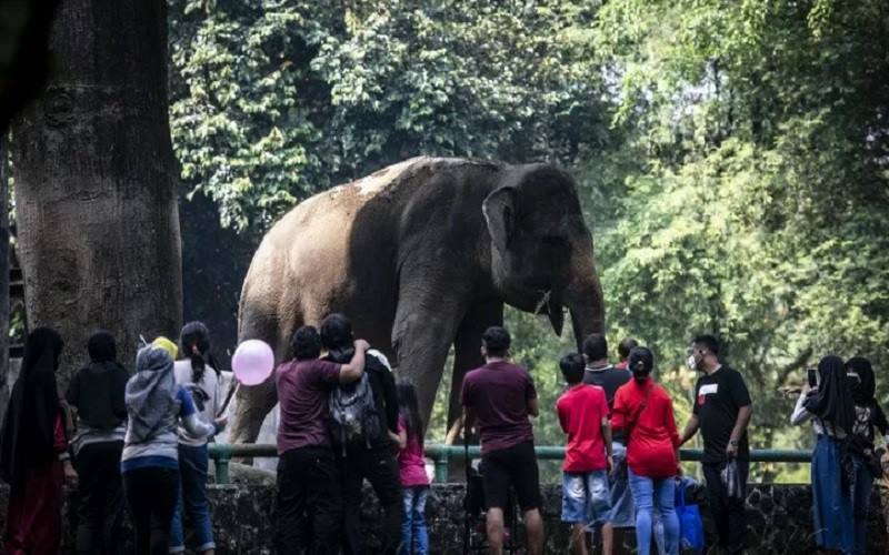  Kerumunan Area Wisata DKI, PSI: Kasus Covid-19 Bisa Naik 34 Persen