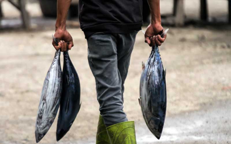  Pascalibur Lebaran, Harga Ikan Segar Naik Hingga 40 Persen