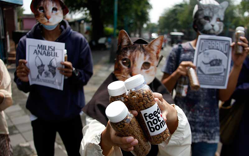  Peduli Kucing Liar, Relawan di Soli Bagikan Wadah Berisi Makanan Kepada Warga