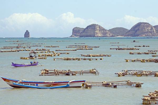  Danau Maninjau Ikon Wisata Rusak, Sumbar Sediakan Rp15 Miliar untuk Revitalisasi