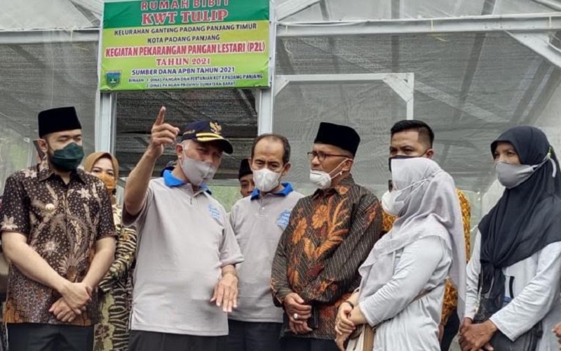  Wujudkan Ketahanan Pangan, Sumbar Canangkan 40 Desa KRPL