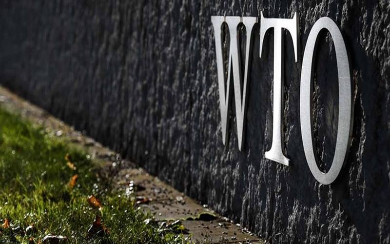  WTO Sepakat Bentuk Panel untuk Tinjau Pembatasan Minyak Sawit 