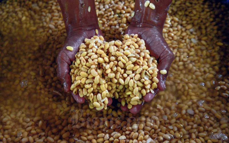  Harga Kedelai Impor Mulai Turun Menjadi Rp9.220 Per Kilogram