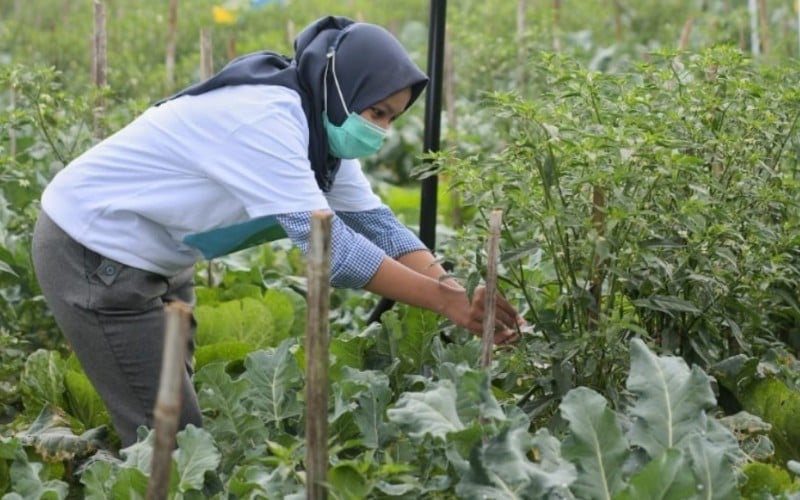  Pesan Ketua HKTI untuk Peserta Petani Milenial: Terus Berjuang!