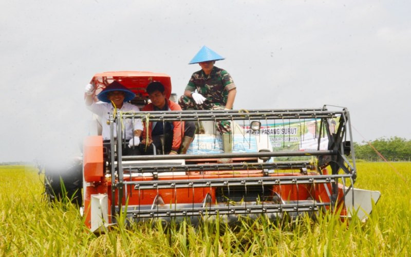 OKI Siapkan 59.118 Hektare Lahan Sawah untuk Food Estate