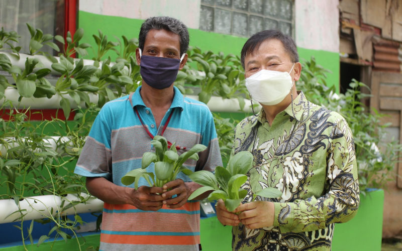  Petani Binaan Korindo Panen Sayuran Hidroponik 