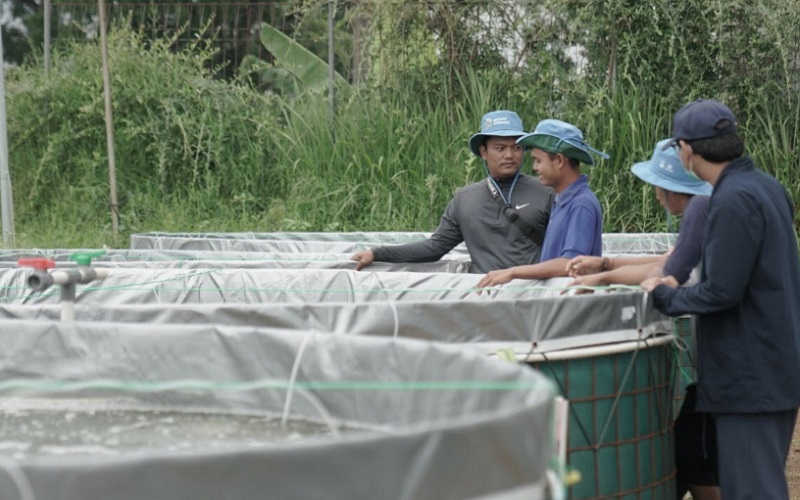  Mengintip Pelatihan Budi Daya Ikan Petani Milenial