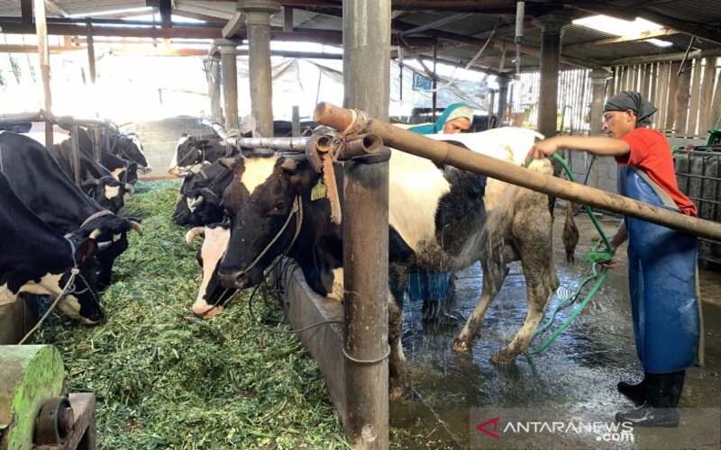  BRI Malang Realisasikan Kredit Usaha Rakyat Rp8,8 Triliun