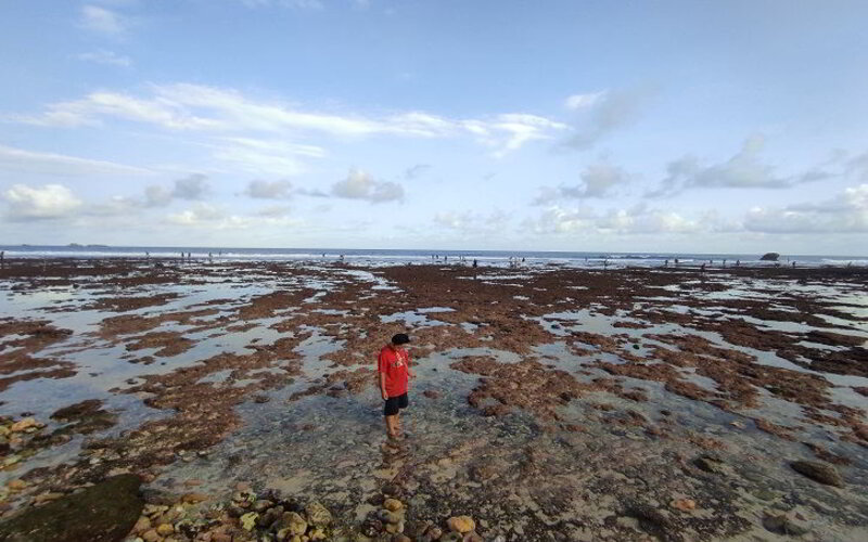  Wonogiri Tanggapi Soal Potensi Tsunami