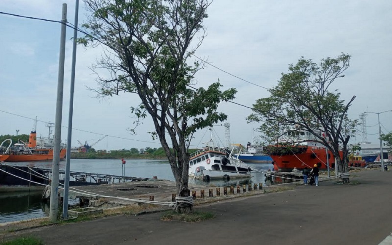  Gandeng HIPMI, Pelabuhan Cirebon Ekspansi Pelayanan Peti Kemas