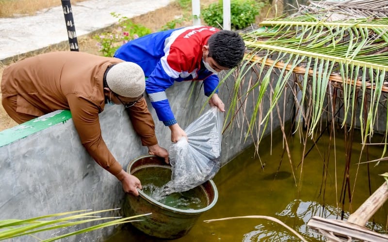  Pertamina Dumai Bantu 4.500 Bibit Ikan Gurami Bagi Nelayan Purnama