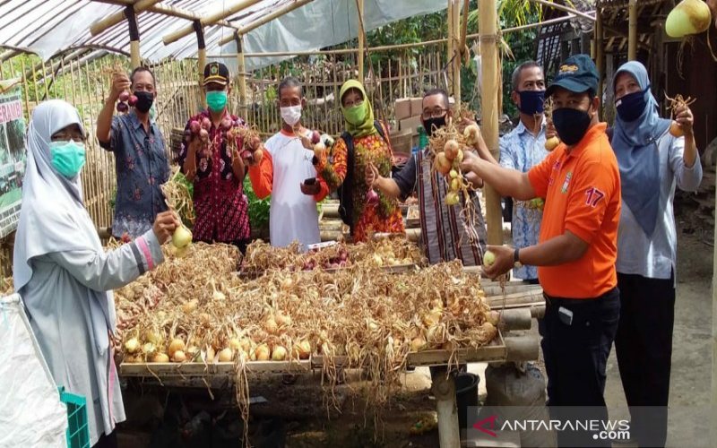  Khasiat Bawang Bombai, Penurun Kadar Gula Darah hingga Berat Badan