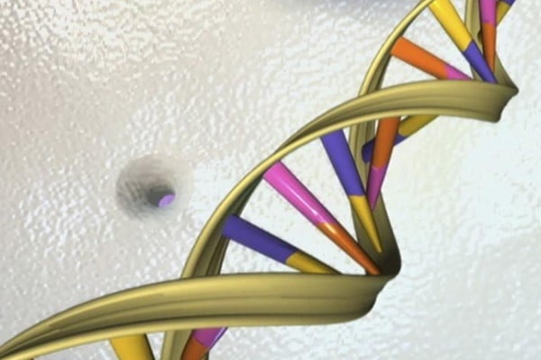  Pemerintah Upayakan Percepat Proses Whole Genome Sequencing, Apa Fungsinya?