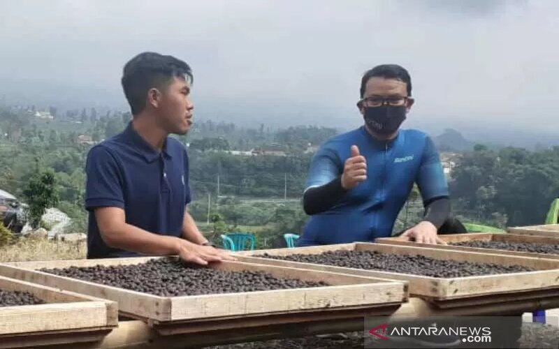  Pesona Kopi Temanggung Tarik Antusiasme Milenial