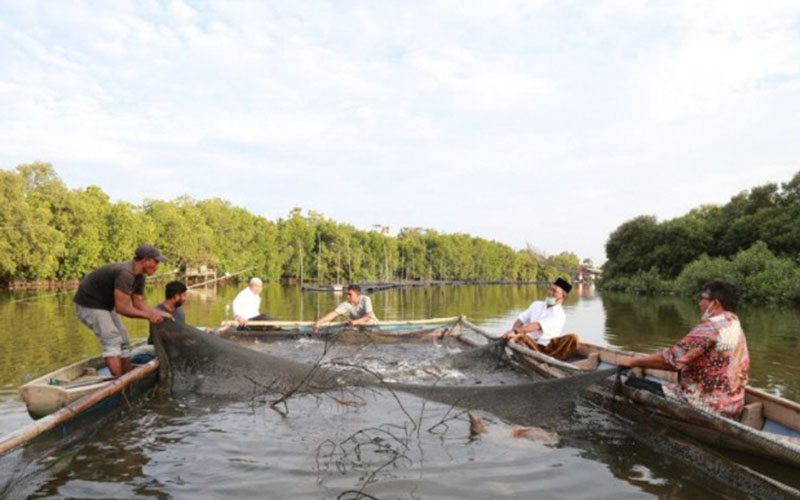  BI Dorong Kemandirian Masyarakat Kembangkan Budi Daya Ikan Mujair