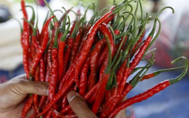  INDEKS HARGA KONSUMEN : Cabai Merah Penentu Inflasi